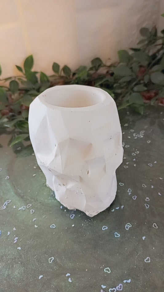 Skull Shape Vase - Crafters Blend